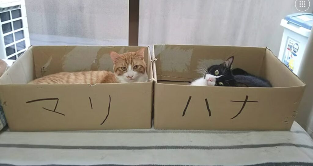 アイパー滝沢さん